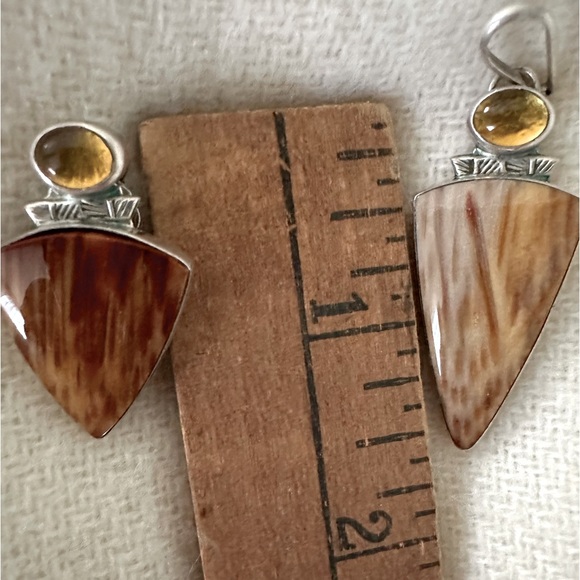 Gourneau  pendant and earrings, fossilized palm and citrine set in silver - Picture 2 of 4